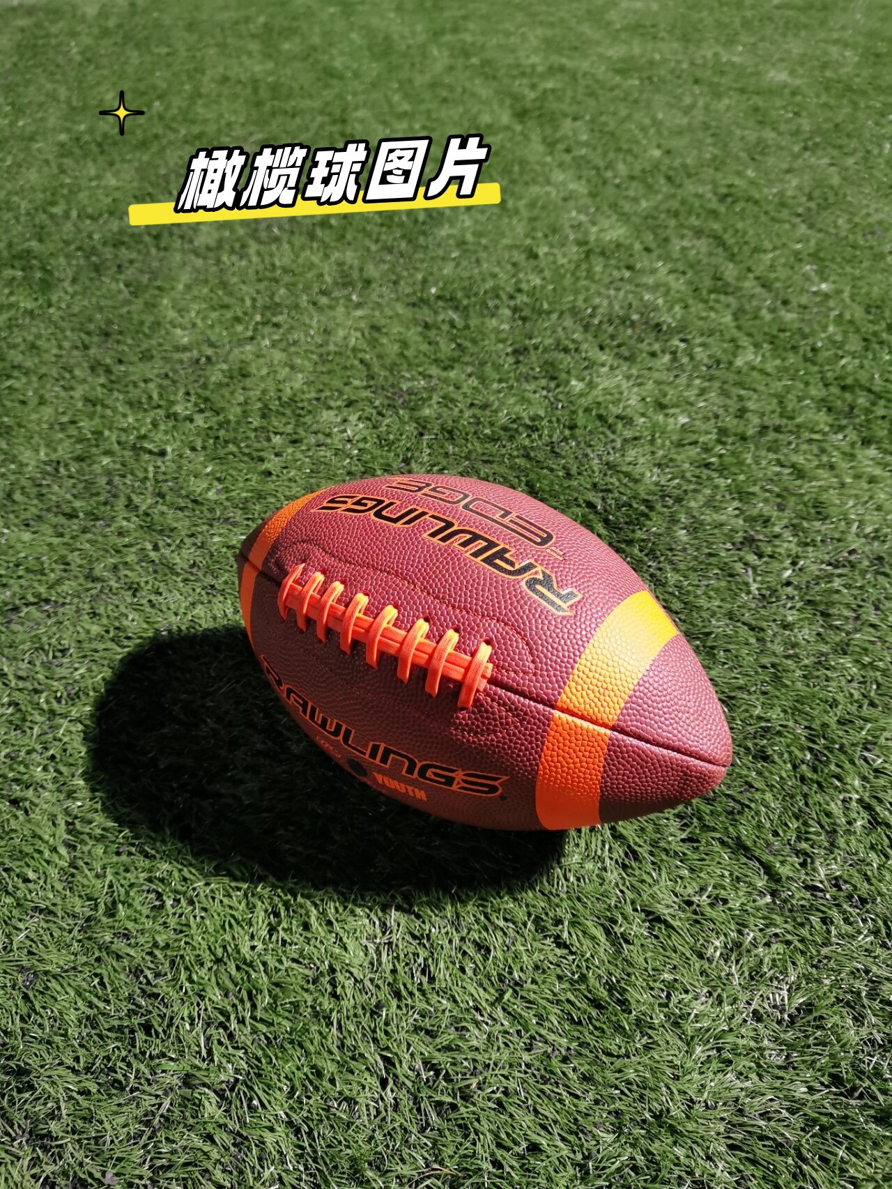 全国橄榄球锦标赛,力量与速度的激烈碰撞的简单介绍 全国橄榄球锦标赛,力量与速度的激烈碰撞的简单介绍