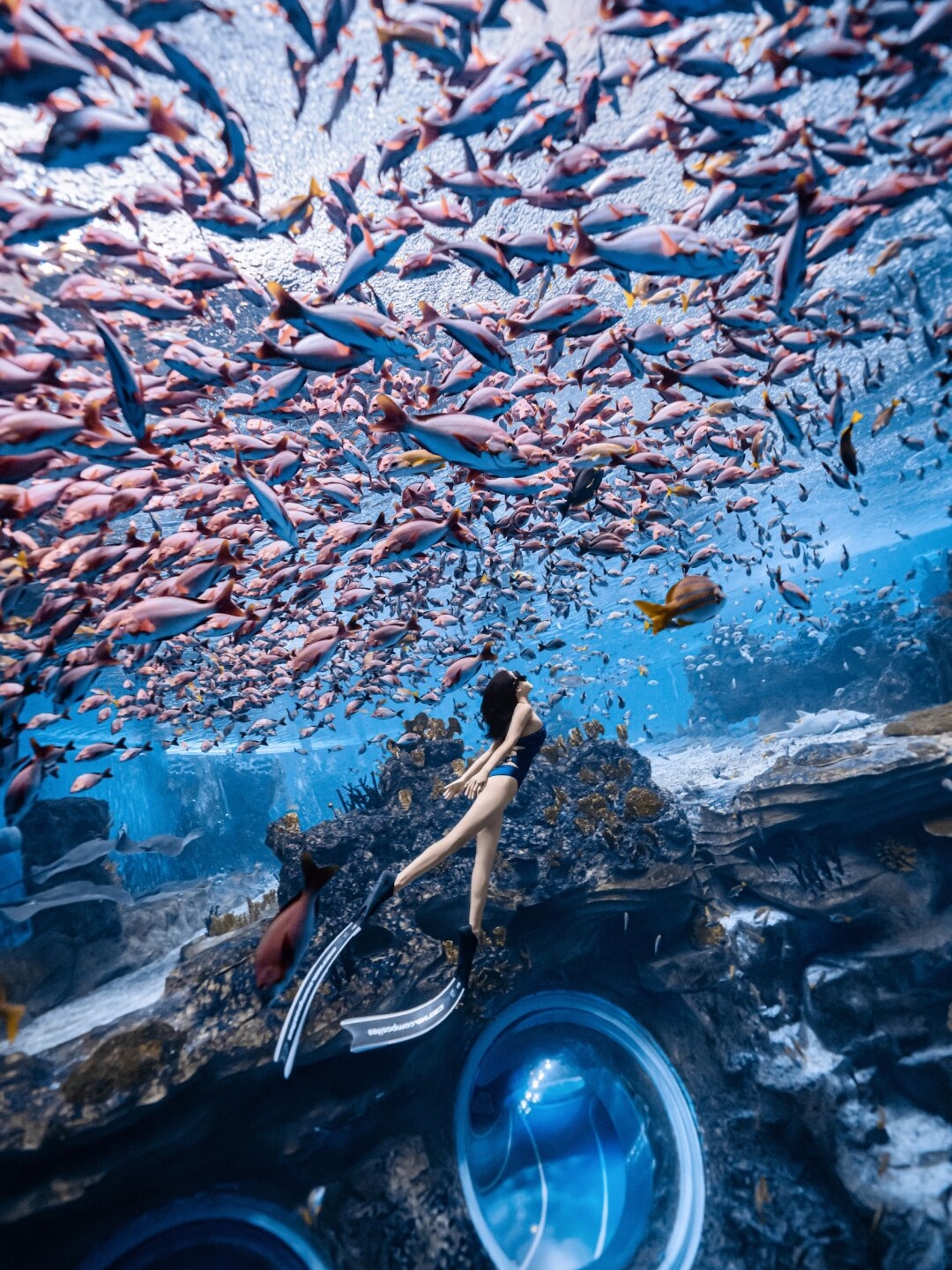 特色水底呼吸潜水竞争,勇气与技巧的水中对抗的简单介绍 特色水底呼吸潜水竞争,勇气与技巧的水中对抗的简单介绍