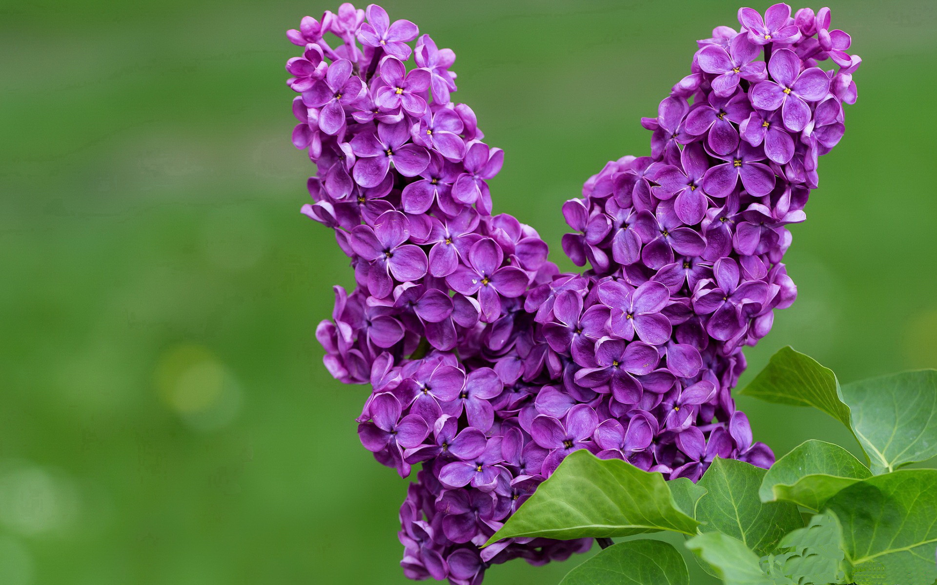 米兰体育官方网址入口-2019年总决赛第六场：勇士在主场迎战热火，库里在关键第四节连续投中两记三分，带队成功逆转，夺得队史第四个总冠军。