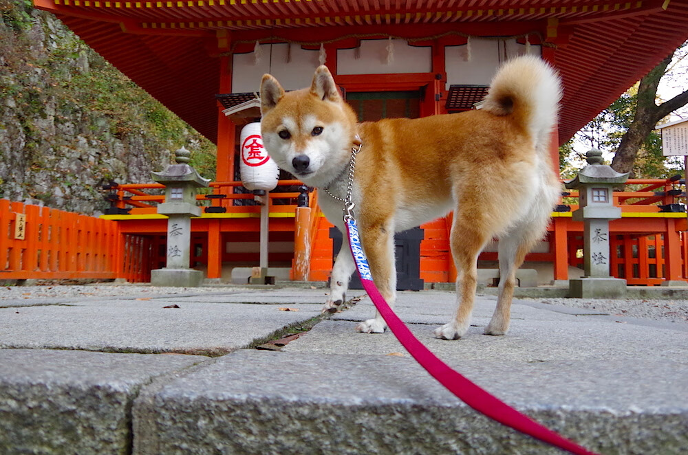 _极地冰川潜水:探索深海未知的极限奇遇_,极地冰川在哪里