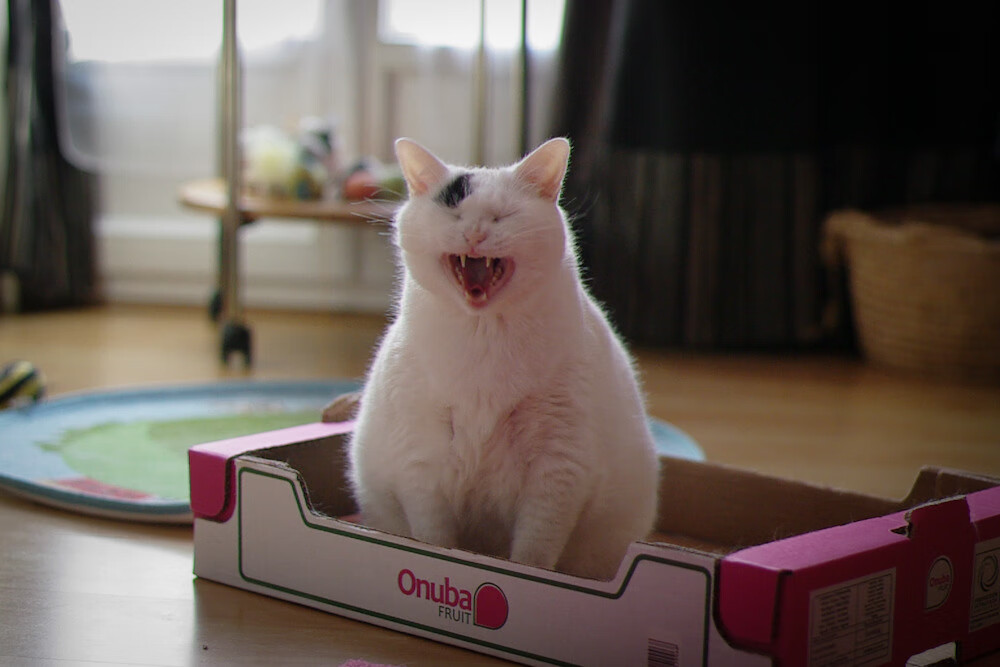 AC Milan-“史上最强防守阵容：联盟顶级篮下防御”，联盟防守第一人