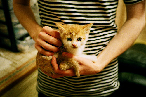 MILAN体育APP下载入口官网-【比赛策略】运动员如何根据战局动态调整攻防布局？，如何使运动员的参赛角色达到合理定位