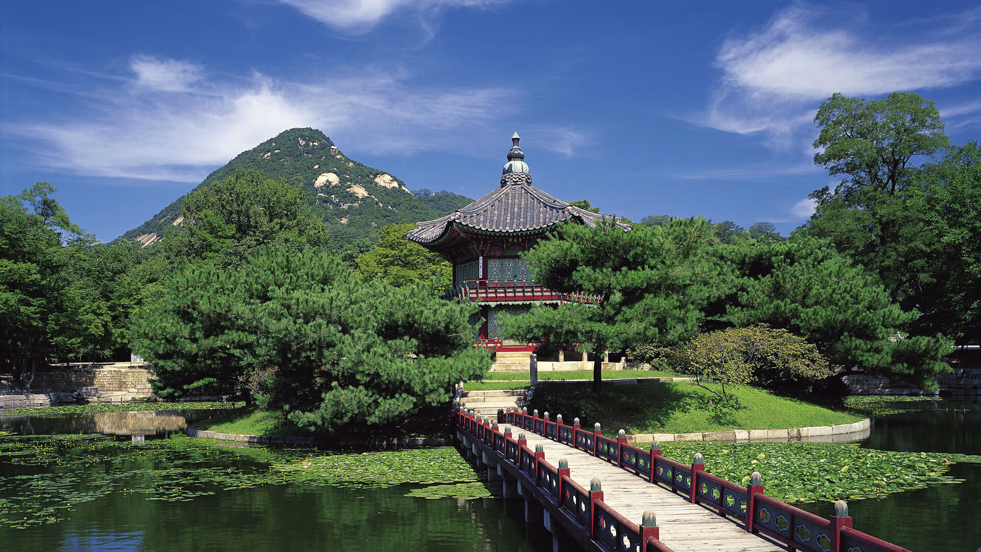 【比赛观看指南】专业解读运动员战术变化,提升观赛体验,观看比赛应履行哪些义务