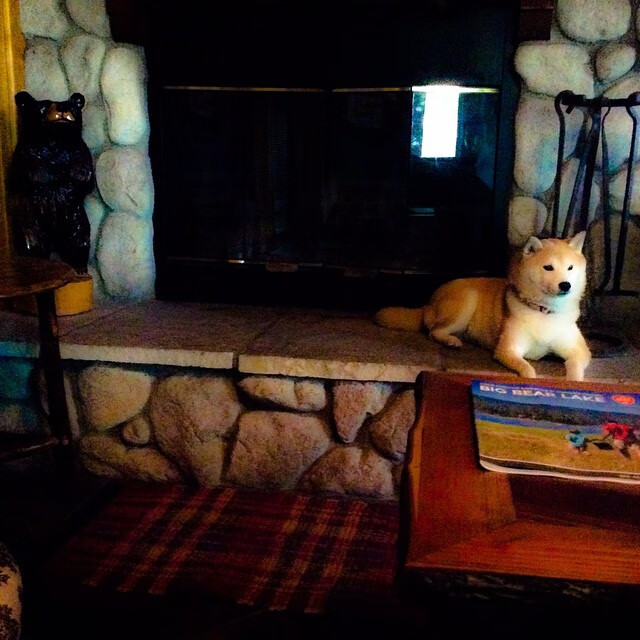 【比赛规则变革】新规出台,运动员如何应对?,比赛规则怎么规定