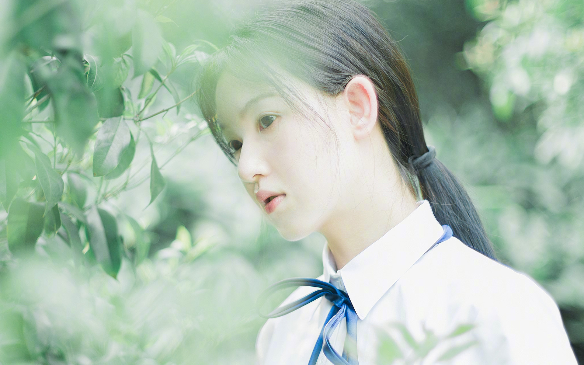 德国女子体操选手在平衡木项目中获得铜牌，德国女子体操运动员