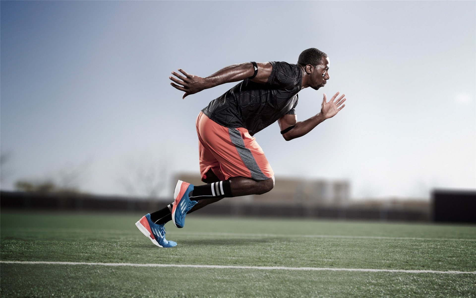 新秀风采：未来联盟领袖的崭露头角，未来联盟巨星