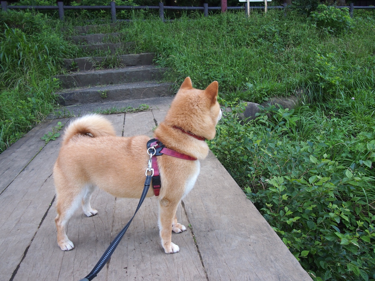 米兰体育网页版登录-逆境中的团队默契显现：哪些战术更成功？，团队默契的基础是什么