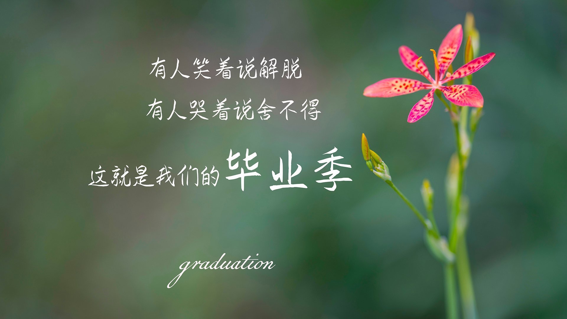 利物浦将迎战水晶宫,双方实力对比争夺胜利,利物浦7-0水晶宫集锦