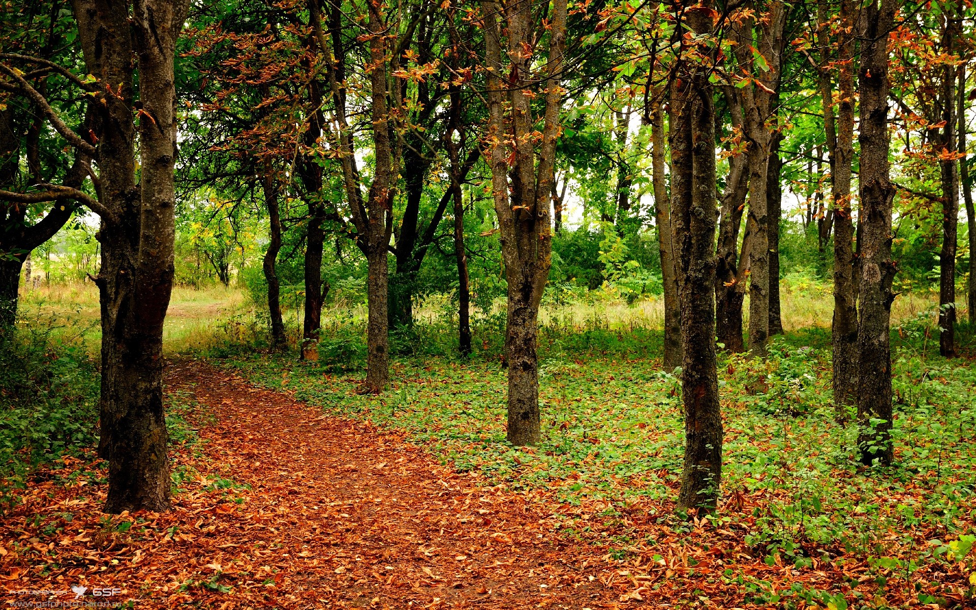 米兰体育APP-塞维利亚惨遭逆转，客场遭遇惨败，塞维利亚阵容2020主力阵容