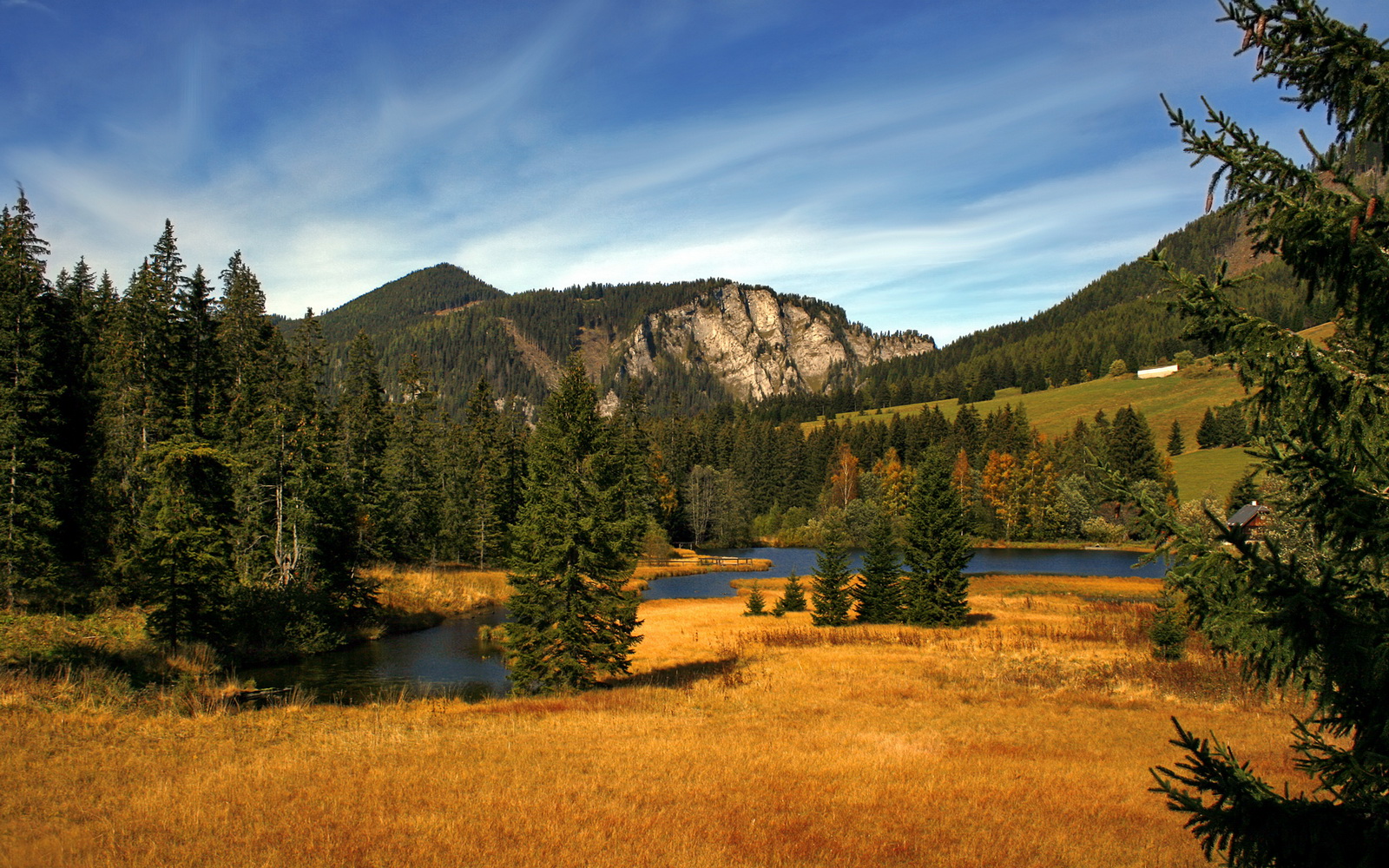 AC MILAN SPORTS全站-布莱顿主场艰难获胜，保级形势稍缓，布莱顿ds