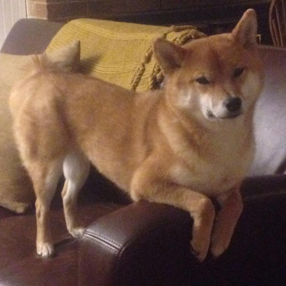 日本媒体赞赏杭州亚运会开幕式的科技与环保理念。,亚运会日本奖牌榜