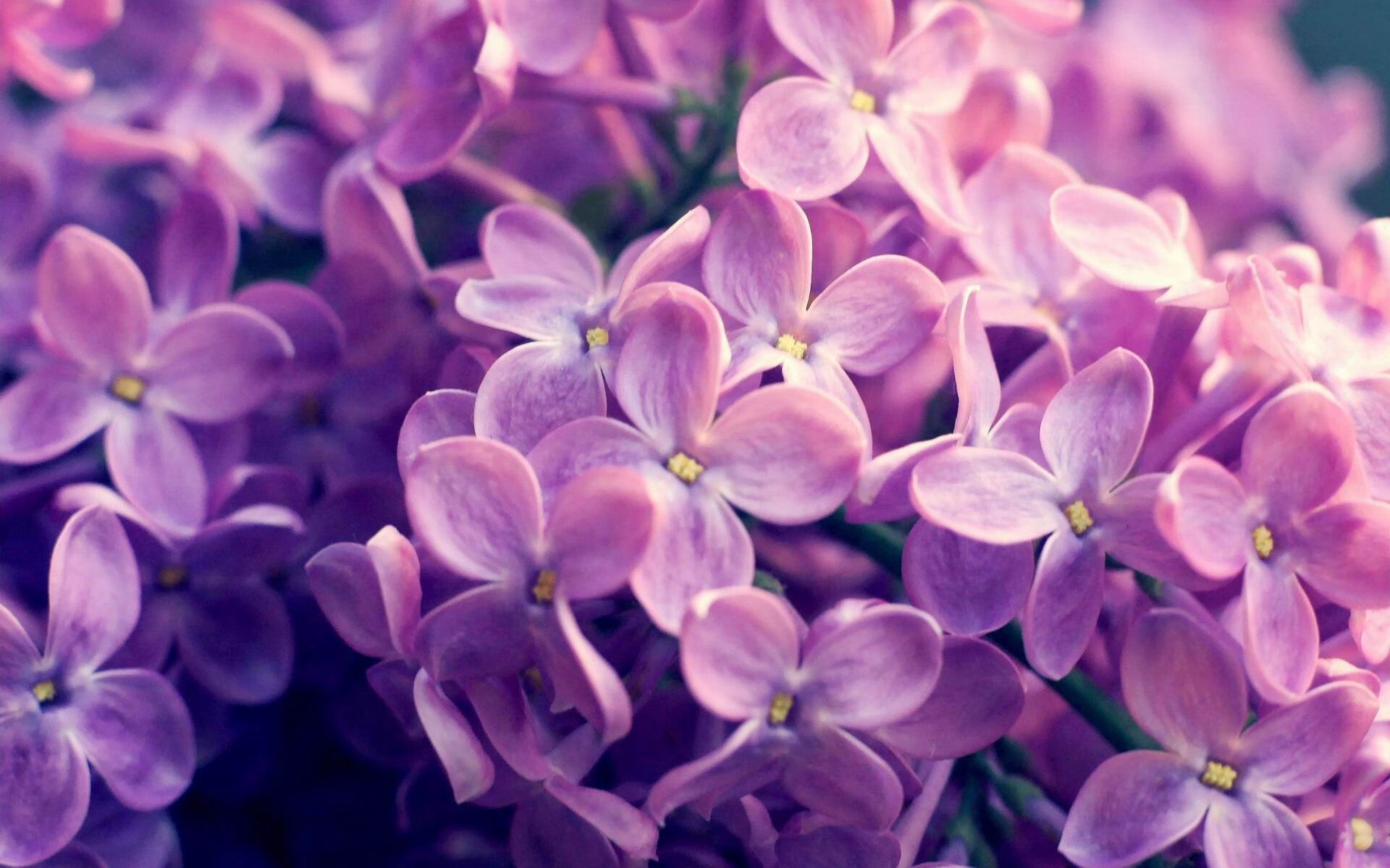 奇才主帅强调比赛态度决定结果,奇才主帅离任