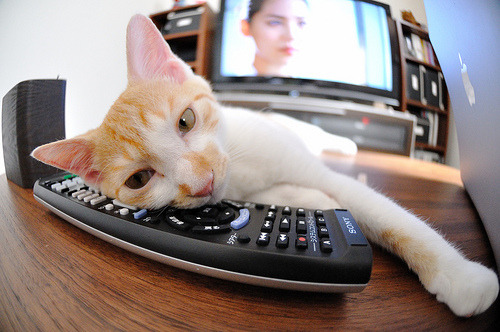 milanAPP下载入口官网-威少连砍三双奇才再度问鼎榜首，威少出场比赛奇才1胜8负 新闻