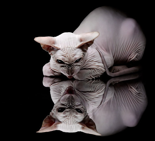 MILAN体育APP下载入口官网-巴西队在南美预赛中领先，晋级在望