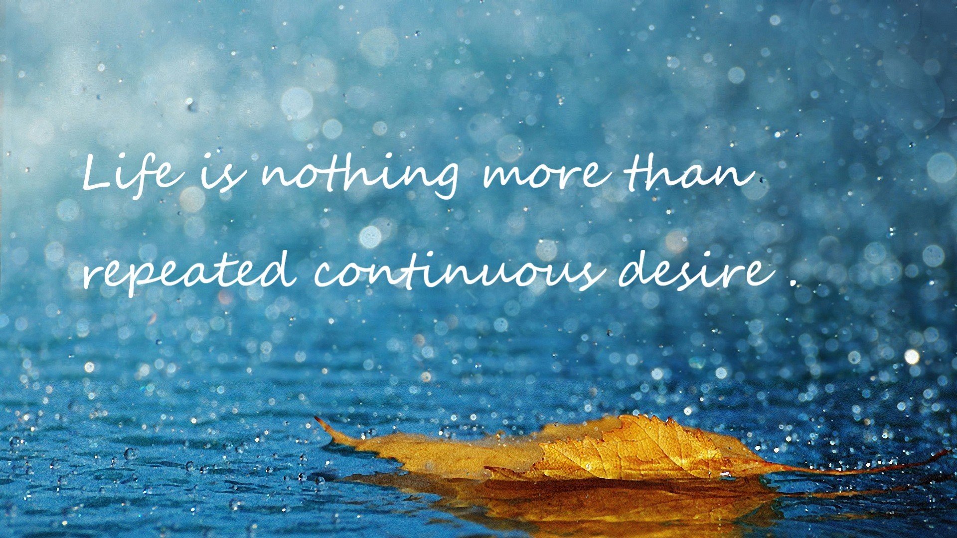 李娜成为青少年赛事公益形象代言,李娜代言费用