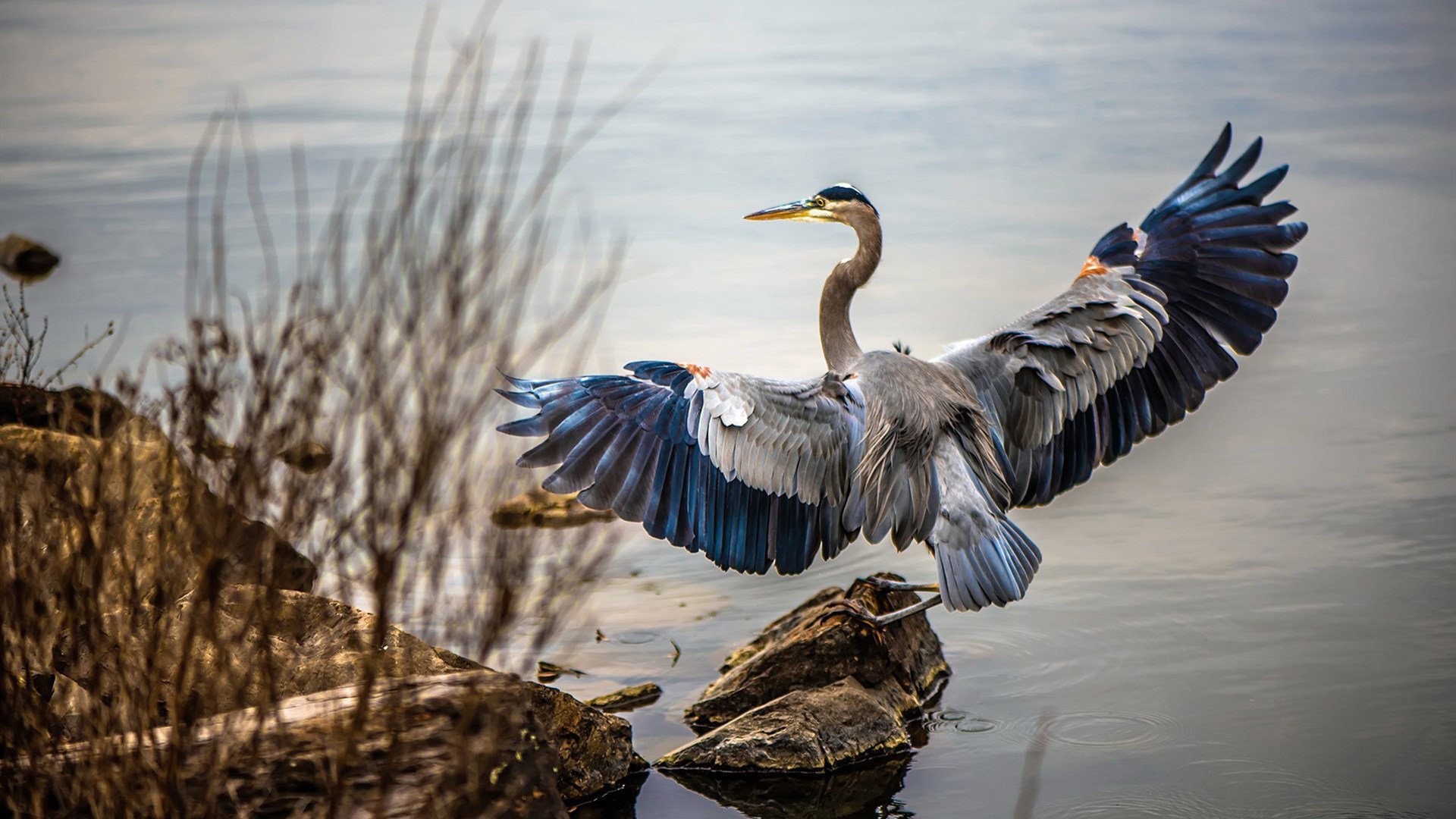 米兰全站app登录app-篮网队训练营开放日球迷爆满，篮网训练中心