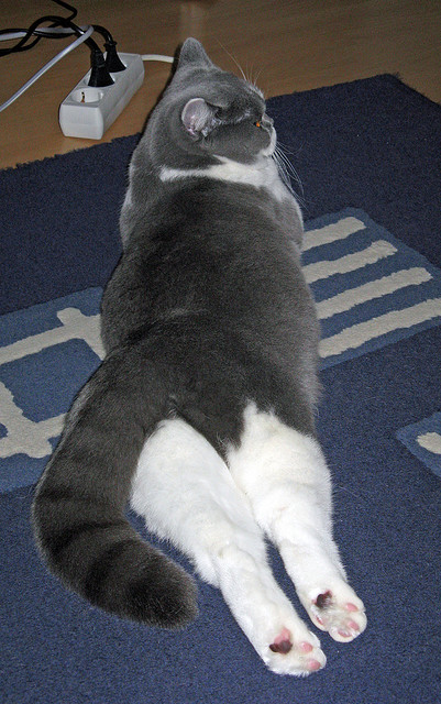 西甲秀场：技巧、配合、出现精彩连连！，西甲loading