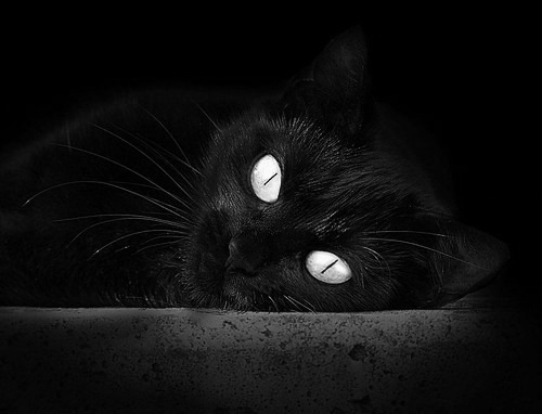 MILAN体育APP下载入口官网-运动员公益活动不断创新，助推社会正能量传播，运动员做公益