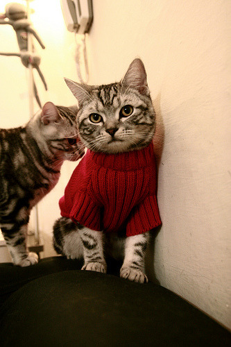 雷霆老将谈球队文化表示信心十足,雷霆老队员