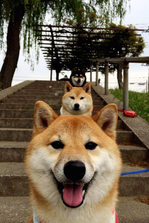 职业联赛鼓励裁判参与国际赛事交流提升执法能力,职业技能大赛裁判长技术点评